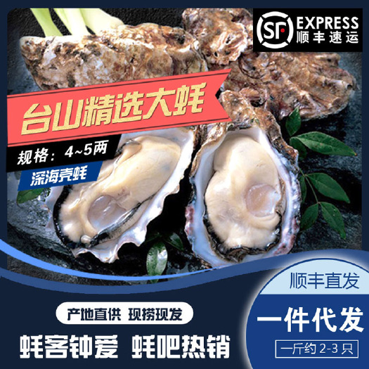 台山市台山蚝 台山【精选大蚝】生蚝批发 4~5两 产地直供 货发全国