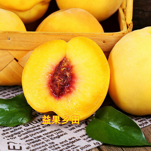 丰县 顺丰包邮锦绣黄桃红心甜黄桃精选大果