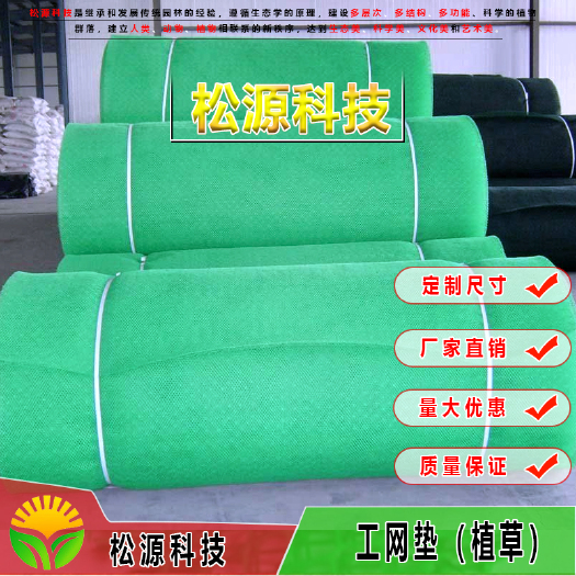 南宁护栏网/ 绿化护坡三维植被网厂家 植草固土三维土工网垫