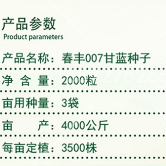 早熟牛心甘蓝种子 包心菜春丰007春甘蓝 冬性较强