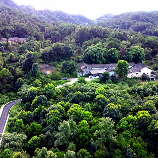 重庆市宅基地 大学城后花园曾家虎峰山上四合院出租
