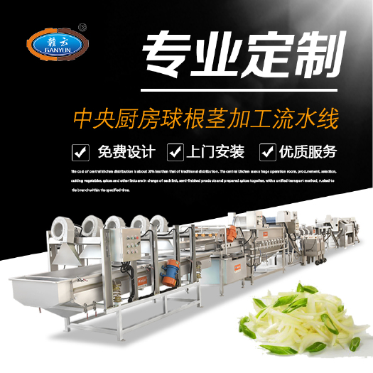 赣州果蔬切片机  果蔬球根茎类瓜果处理流水线-中央厨房设备