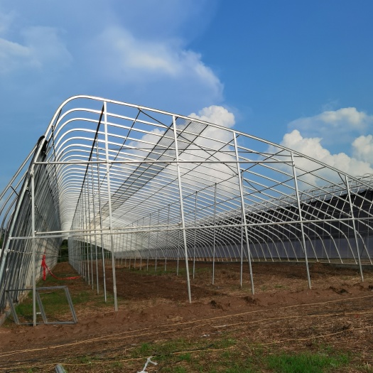 泊头市种植大棚 椭圆管种植温室大棚