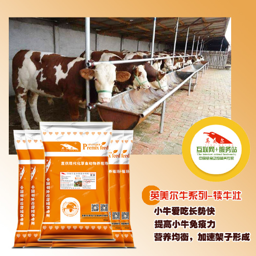 徐州 犊牛壮犊牛预混料