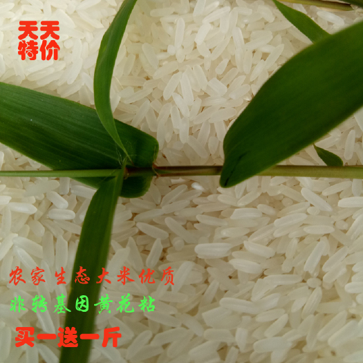 随县黄花粘大米  农家生态黄花粘非转基因大米 香软稻米