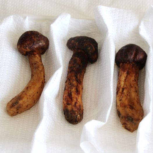 大连包装纸 海鲜、果蔬、菌类、肉制品类保鲜吸水纸，无纺布材质