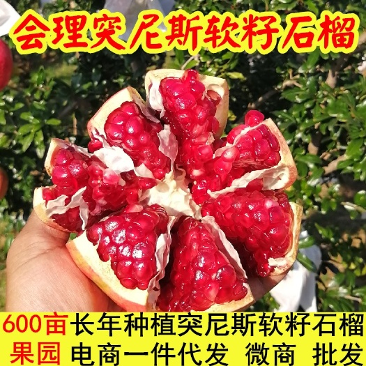 会理市 会理突尼斯软籽石榴产地直供一件大发批发都可