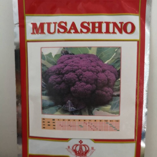 紫花椰菜种子原装紫色花椰菜种子色花菜种子特色菜蔬菜种籽孑