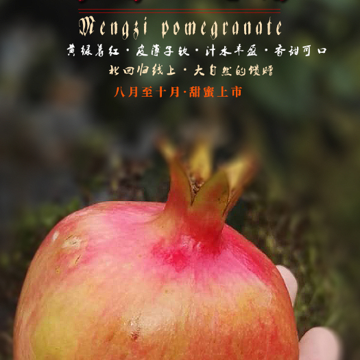 蒙自市 蒙自石榴果园直摘品质优选量大巨优