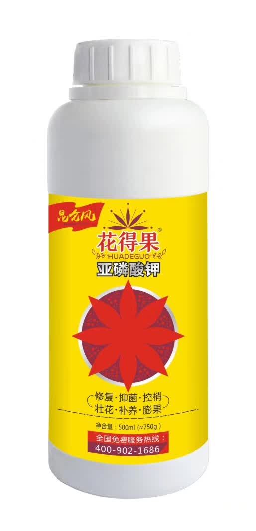 郑州叶面肥料 花得果亚磷酸钾可以控梢促根膨大着色增甜抑菌