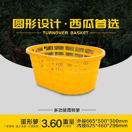 重庆市塑料筐 蔬菜塑料周转箩 可带铁柄