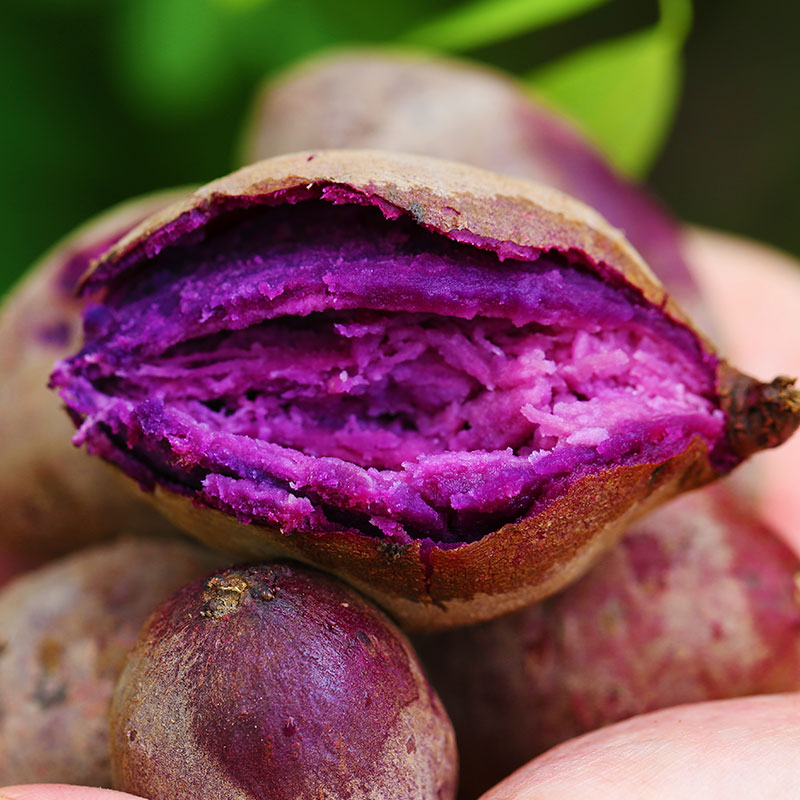 徐紫薯8号 2020现挖红薯 徐紫8号紫薯 番薯 全年稳定供货 支持代发