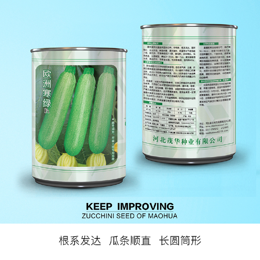 青县 中科茂华蔬菜种子欧洲寒绿西葫芦种子早春大棚越冬温室早熟高产