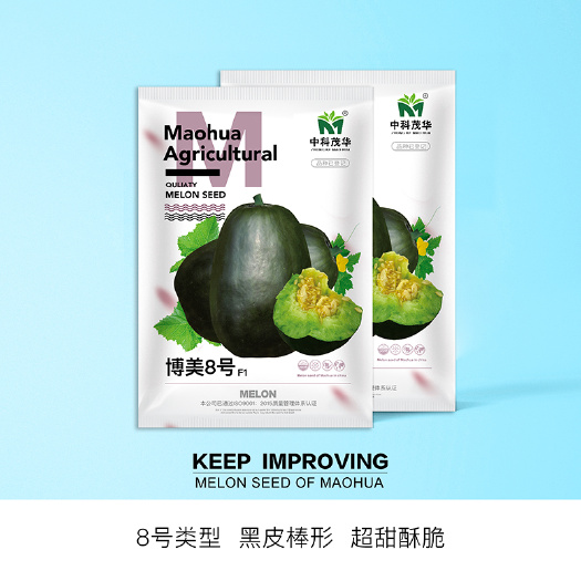 青县 中科茂华瓜果种子博美8号甜瓜种子黑皮绿肉橘瓤皮薄香瓜种