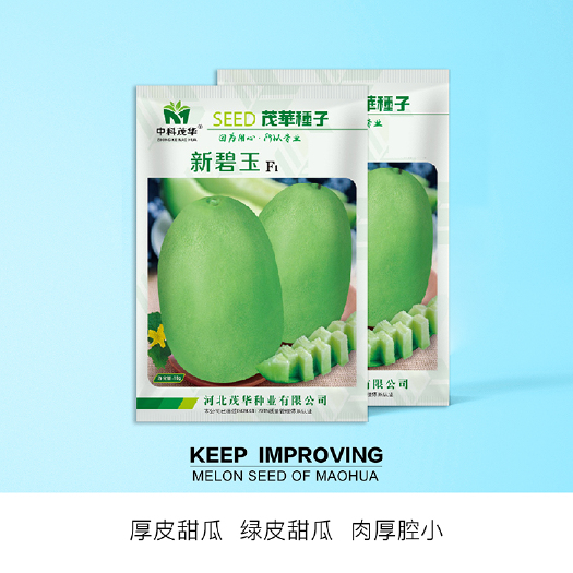 青县 中科茂华水果种子新碧玉甜瓜种子薄厚皮绿肉香瓜种子肉厚超甜