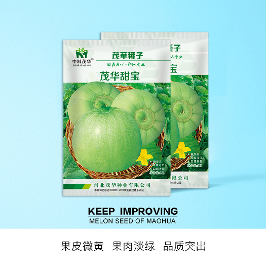青县 中科茂华瓜果种子茂华甜宝甜瓜种子脆香酥耐湿耐热耐雨水超甜多汁