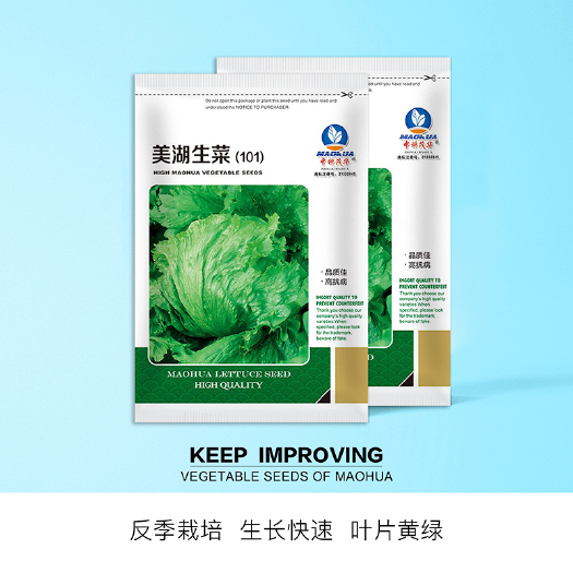 青县 中科茂华蔬菜种子美湖玉湖结球生菜种子全结球深绿色基地种植阳台