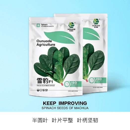 青县 中科茂华蔬菜种子雪暴杂交菠菜种子大叶抗病高产易捆扎春秋