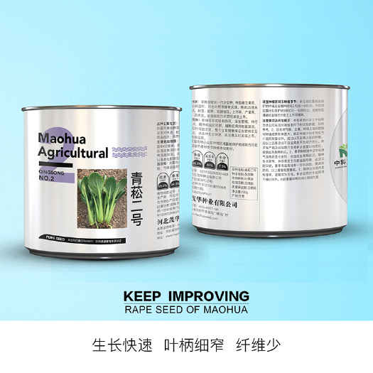 青县中科茂华青崧二号青梗菜种子杂交一袋无纤维家庭园艺阳台盆栽
