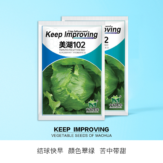 青县 中科茂华蔬菜种子美湖102生菜种子中熟耐寒深绿色球形大耐寒