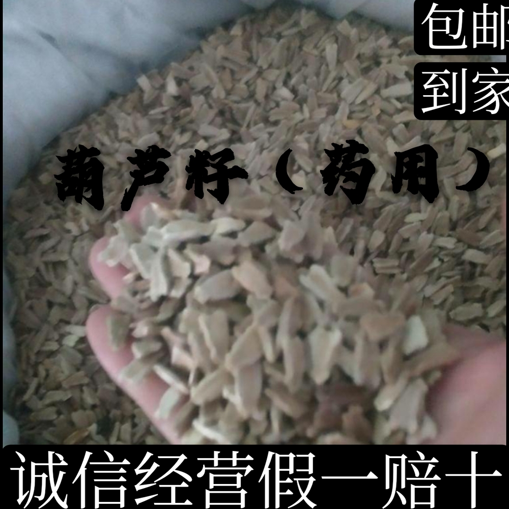 安国市瓢葫芦种子  葫芦籽（药用非种子）产地河北 平价直销无硫代打