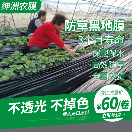 绅洲牌黑地膜60元/卷5公斤装 防草保湿遮盖3个月使用寿命