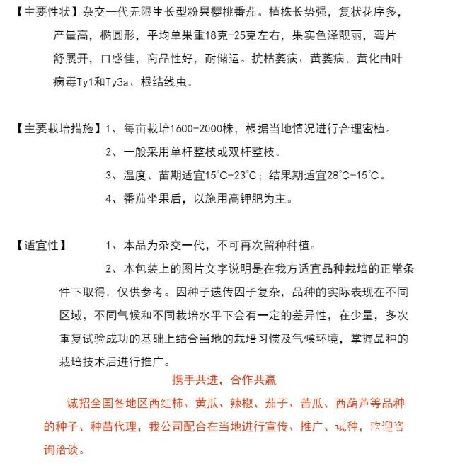 抗Ty病毒千禧小番茄种子香妃12号改良樱桃番茄玲珑圣女果种子