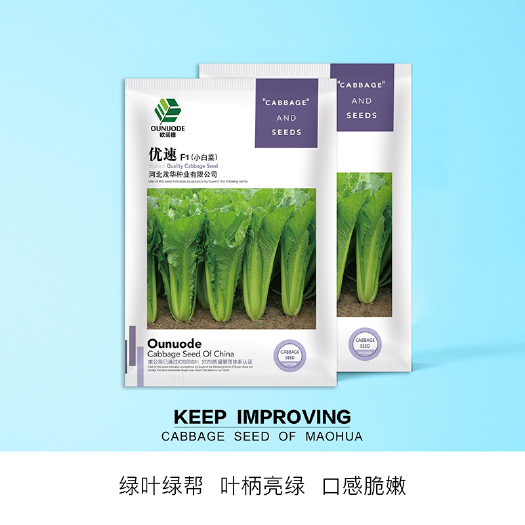 青县 中科茂华蔬菜种子优速小白菜种子四季种植无绒毛小青菜阳台盆栽