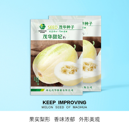 青县 中科茂华瓜果种子茂华甜妃甜美甜瓜种子黄润绿润白肉红瓤