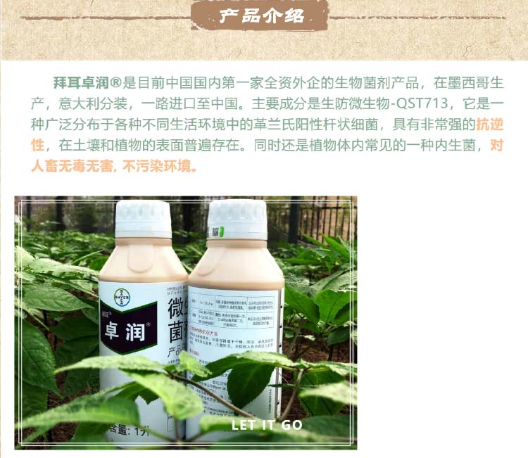 菌肥拜耳卓润微生物菌剂解啶粉芽孢杆菌草莓促进生根爆发生长提高产量