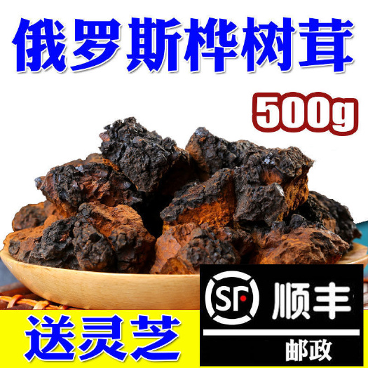 长沙俄罗斯桦树茸白桦茸茶桦树泪滋补养生中药材桦褐孔菌500g正