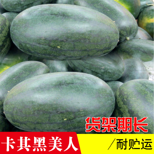 青县 高甜黑美人西瓜种子高产薄皮西瓜种籽重茬农家庭院水果蔬菜种孑
