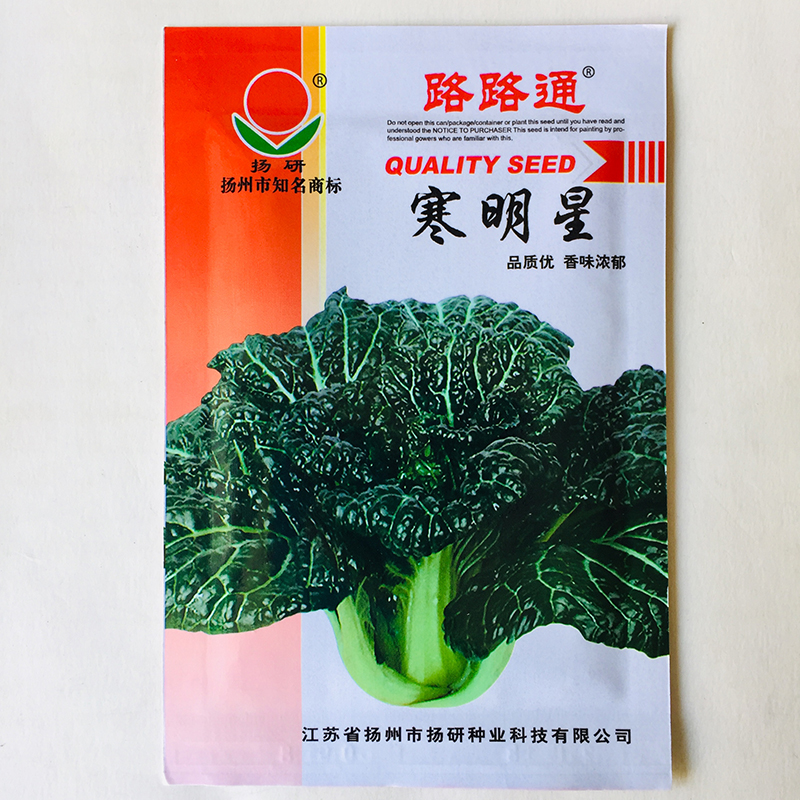 沭阳县黑菜种子小黑菜种子黑油白菜种子黑叶白菜种子包邮