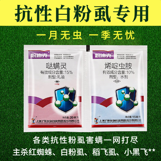 武汉【白粉虱专用杀虫剂 】烯啶虫胺哒螨灵蔬菜稻飞虱蚜虫蓟马农药