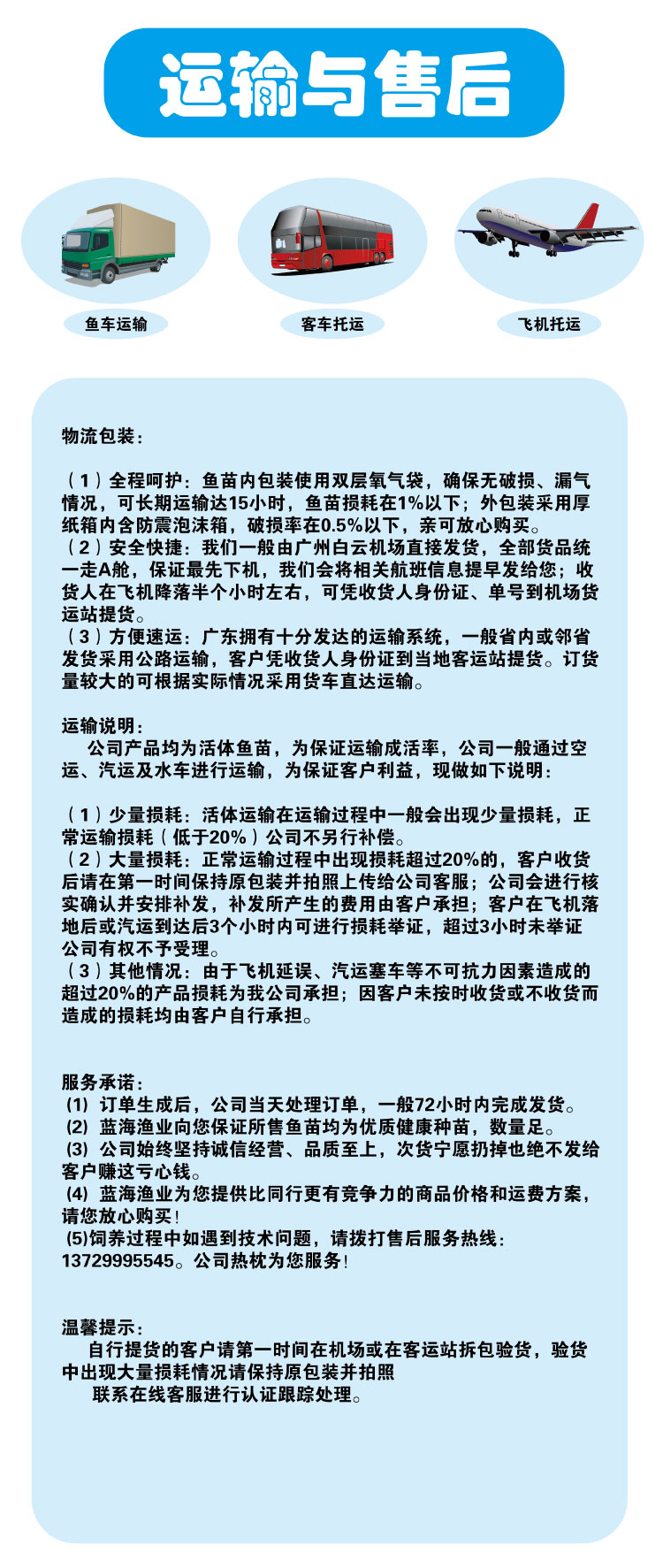  苗场直销 优质红罗非鱼苗