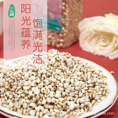 兴仁市 贵州兴仁华腾有机白薏米