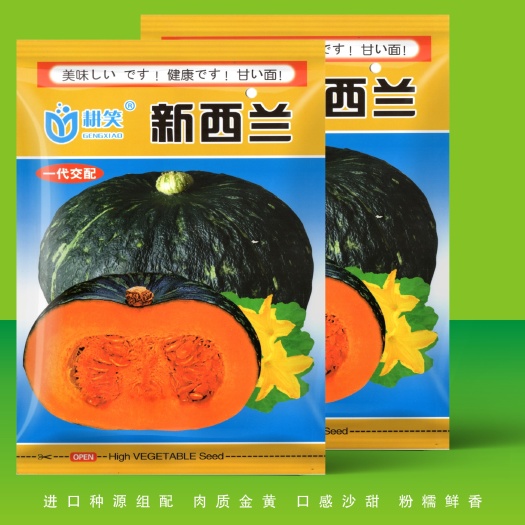 酒泉日本南瓜种子  南瓜种子 新西兰南瓜种子新西兰种子批发