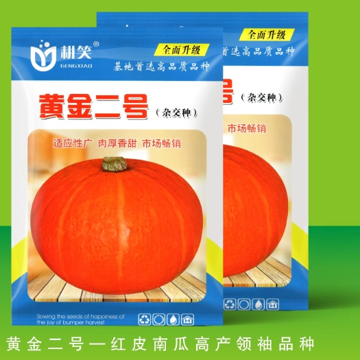 金塔县红南瓜种子  新黄金二号红南瓜种子批发供应，高产颜色靓，