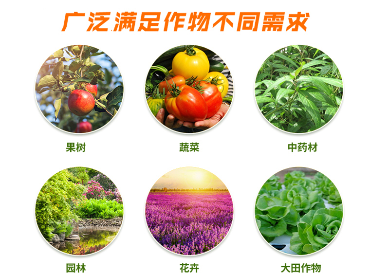 小檗碱  馈腐康果树樱桃花椒流胶桃树流胶病苹果腐烂病清园专用