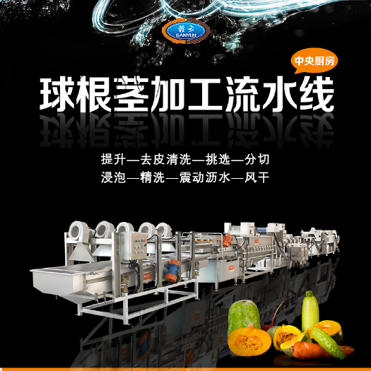 赣州果蔬切片机  球根茎瓜果切片切丝切丁流水线