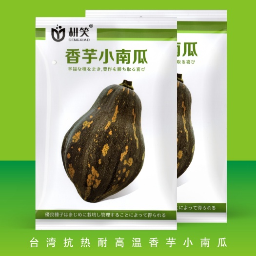 酒泉南瓜种子 香芋南瓜种子 香芋基地批发