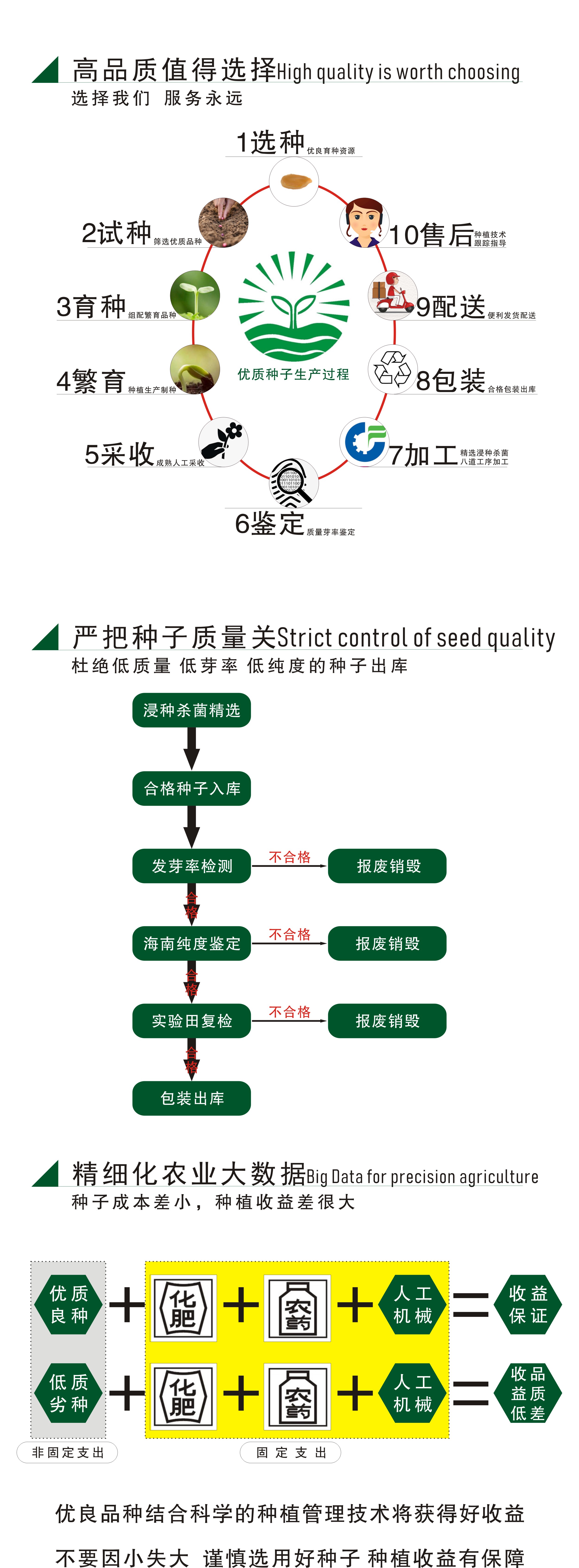 南瓜种子 香芋南瓜种子 香芋基地批发