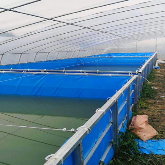 水产养殖箱  加厚PVC帆布水池养虾养鱼养水蛭蚂蟥锦鲤鱼帆布鱼池水槽