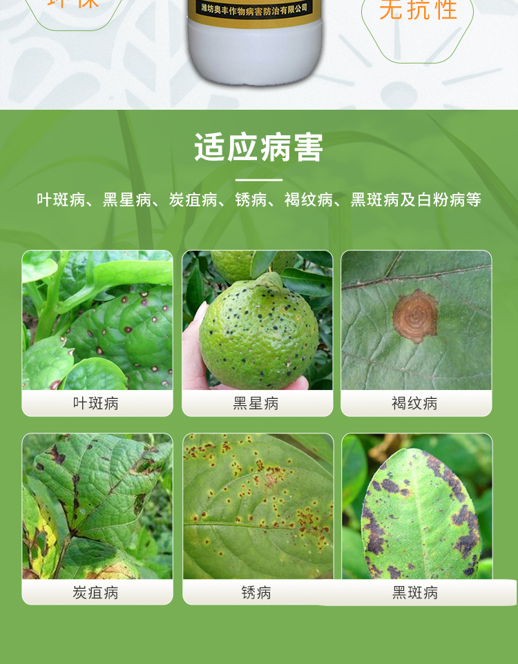 生物农药 速净 葡萄草莓炭疽褐斑月季黄瓜白粉辣椒番茄叶斑核桃黑斑杀菌剂