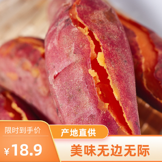 六鳌地瓜  六鳌大红蜜薯   可指定规格