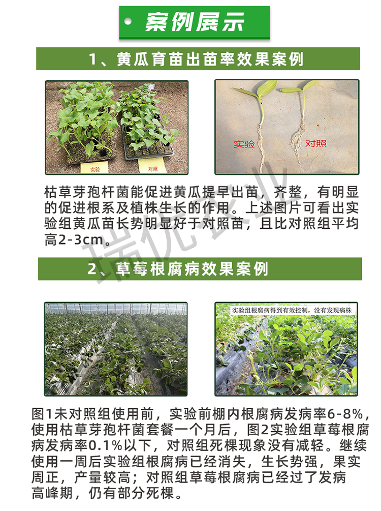 枯草芽孢杆菌200亿微生物菌剂益生菌肥料防细菌1000克包邮