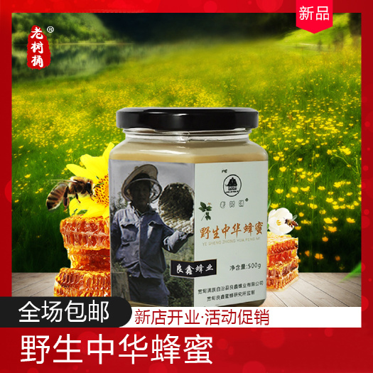 宽甸县 野山蜂蜜
