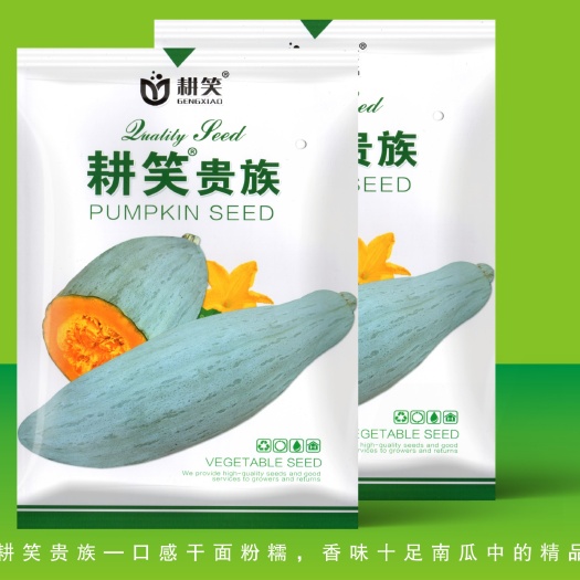 金塔县新彊丑瓜 金丝栗  贵族南瓜种子 种源繁育基地批发