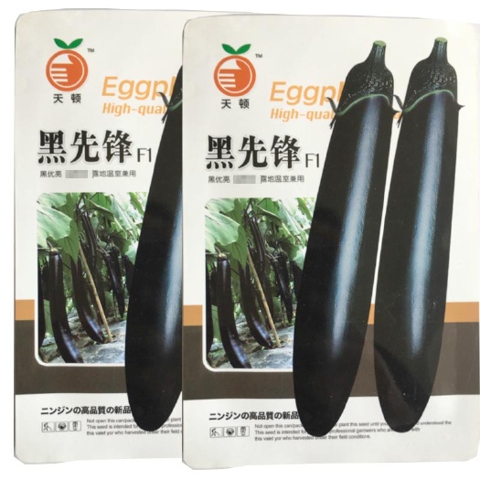 济南茄子种子  黑先锋长茄种籽早熟长30-40公分顺直型 粗大