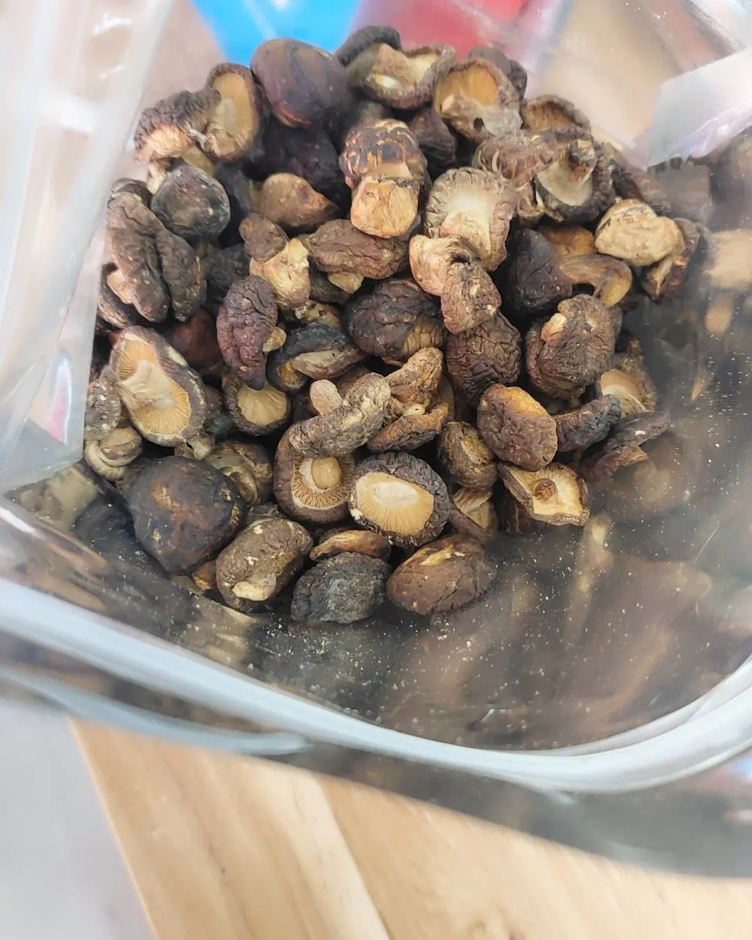 原木干香菇  云南 精品 食用菌 野生菌干货 金钱菇 香菇 批发